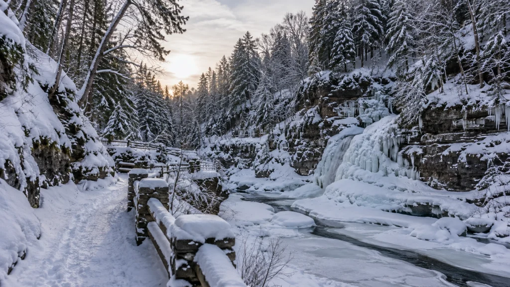 Snow-covered New York State Park with winter hiking trail